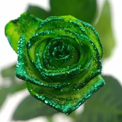 Zelená růže GREEN GLITTER VENDELA 70cm