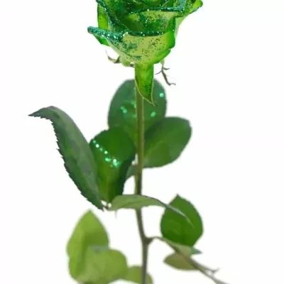 Zelená růže GREEN GLITTER VENDELA 70cm