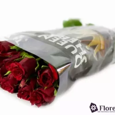 Červená růže LOVE LETTER 50cm