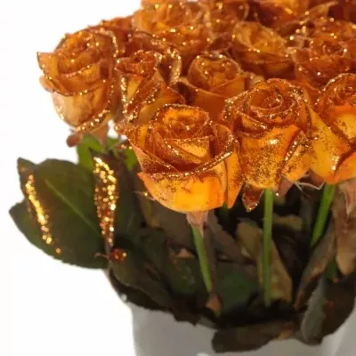 Oranžová růže ORANGE GLITTER VENDELA 70cm