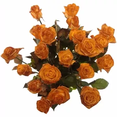 Oranžová růže ORANGE GLITTER VENDELA 70cm