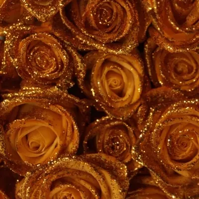 Oranžová růže ORANGE GLITTER VENDELA 70cm