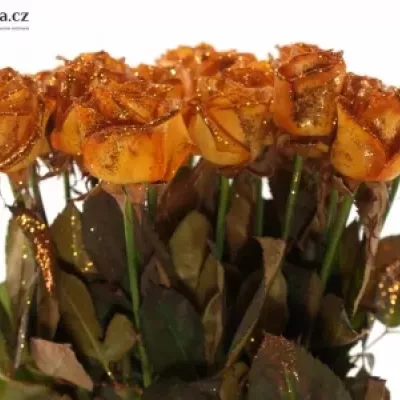 Oranžová růže ORANGE GLITTER VENDELA 70cm