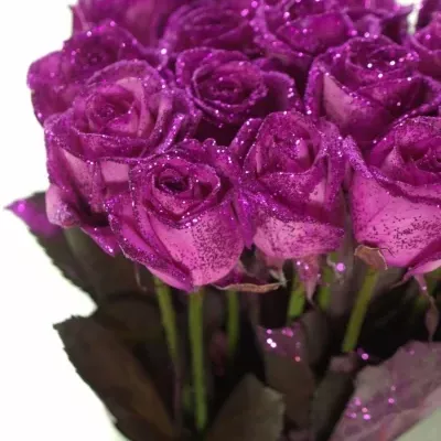 Růžová růže PINK GLITTER VENDELA 70cm