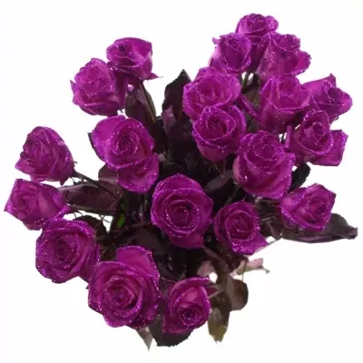 Růžová růže PINK GLITTER VENDELA 70cm