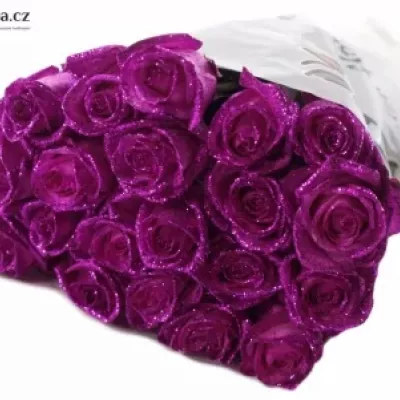 Růžová růže PINK GLITTER VENDELA 70cm