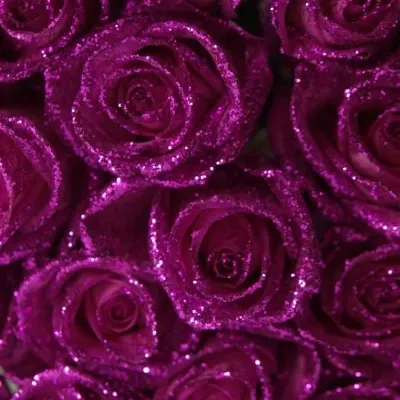 Růžová růže PINK GLITTER VENDELA 70cm