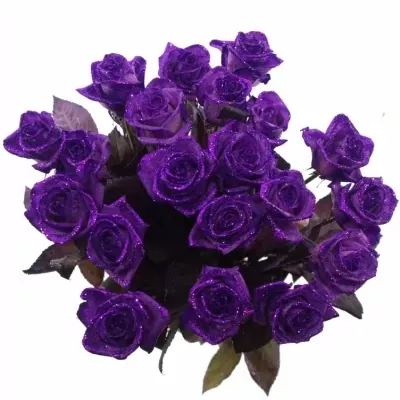 Fialová růže PURPLE GLITTER VENDELA 70cm