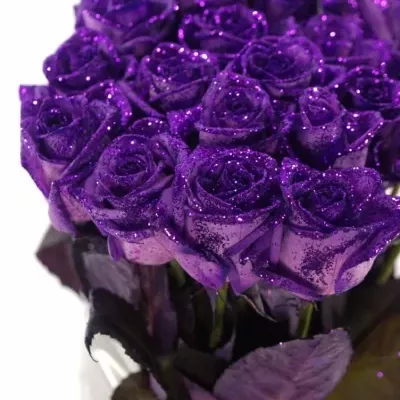 Fialová růže PURPLE GLITTER VENDELA 70cm