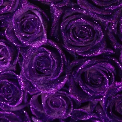 Fialová růže PURPLE GLITTER VENDELA 70cm