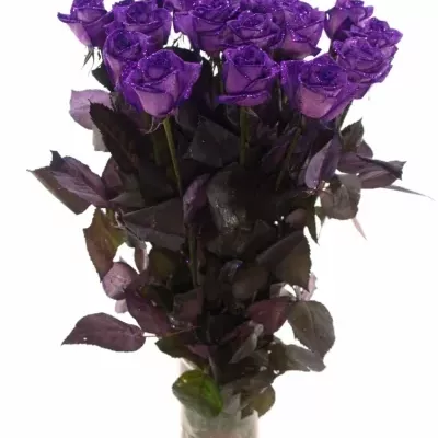 Fialová růže PURPLE GLITTER VENDELA 70cm