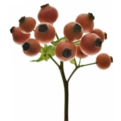 Šípek HIPHOP SUNSET 35 cm