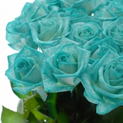 ROSA ICE BLUE Vendel