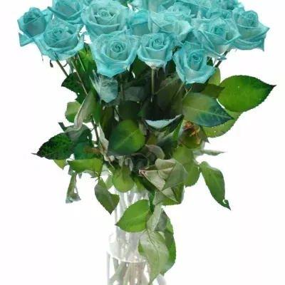 ROSA ICE BLUE Vendel