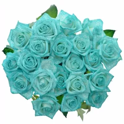 ROSA ICE BLUE VENDELA