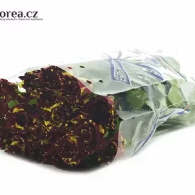 Červená,žlutá růže ABRAKADABRA 40cm