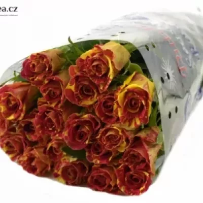 Červená,žlutá růže WIZARD 40cm