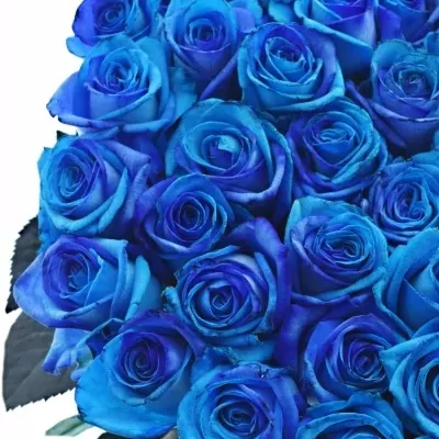 ROSA OCEAN BLUE VENDELA