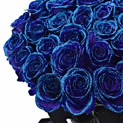 ROSA PURPLE VENDELA BLUE GLITTERS 60cm (M)