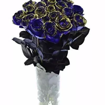 ROSA PURPLE VENDELA GOLD GLITTERS 50cm (M)