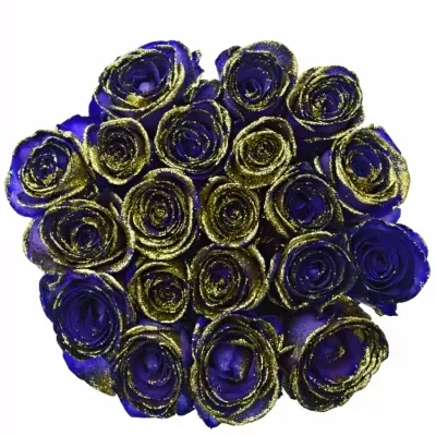 ROSA PURPLE VENDELA GOLD GLITTERS 50cm (M)