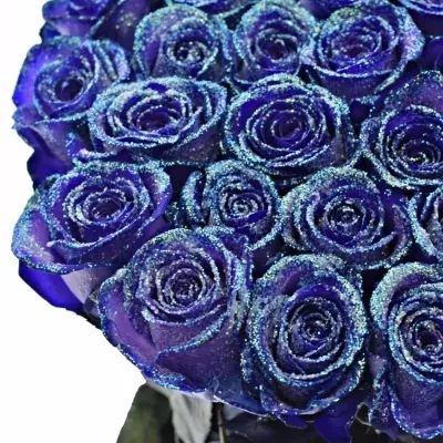 ROSA PURPLE VENDELA LIGHT BLUE GLITTERS 60cm (M)
