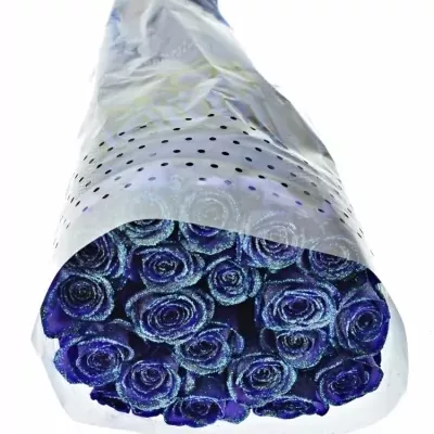 ROSA PURPLE VENDELA LIGHT BLUE GLITTERS 60cm (M)