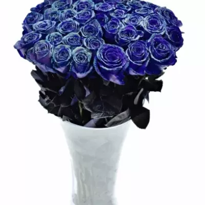 ROSA PURPLE VENDELA LIGHT BLUE GLITTERS 60cm (M)