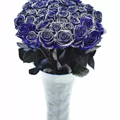ROSA PURPLE VENDELA SILVER GLITTERS 60cm (M)