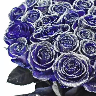 ROSA PURPLE VENDELA SILVER GLITTERS 60cm (M)