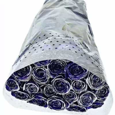 ROSA PURPLE VENDELA SILVER GLITTERS 60cm (M)