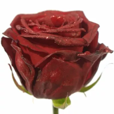 ROSA RED NAOMI! GLITTER LOVE 