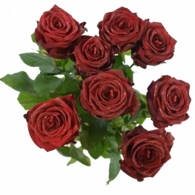 ROSA RED NAOMI! GLITTER LOVE 