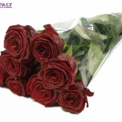 ROSA RED NAOMI! GLITTER LOVE 