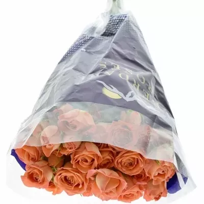 ROSA TR CHARMING BABE 50cm/5+