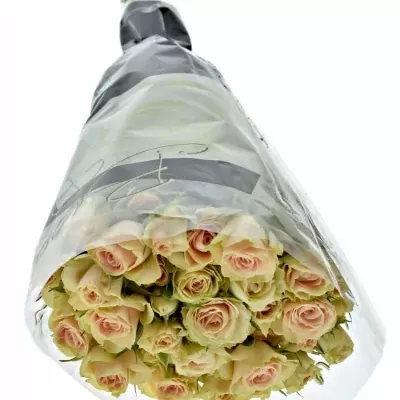 ROSA TR JELENA 40cm/3+