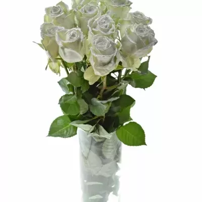 ROSA WAX BLING SILVER 70cm (XL)