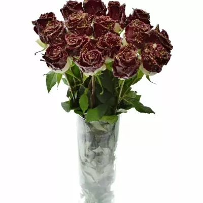 ROSA WAX BORDEAUX DISCO 70cm (XL)