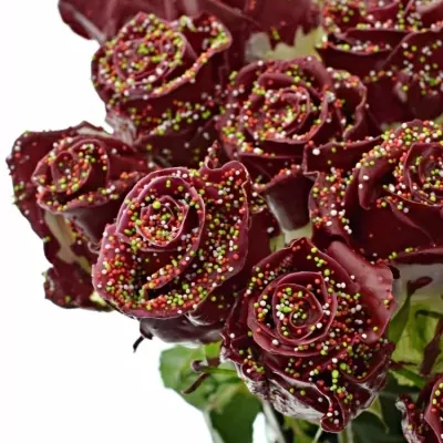 ROSA WAX BORDEAUX DISCO 70cm (XL)