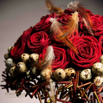 Rudá růže RED NAOMI!