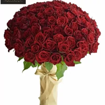Luxusní kytice 100 rudých růží TESTAROSSA
