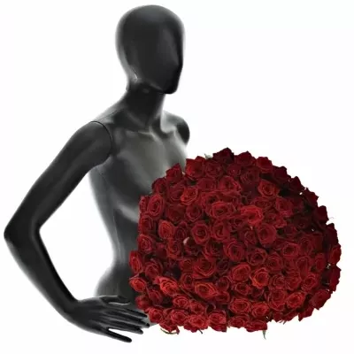 Luxusná kytica 100 červených ruží Testarossa
