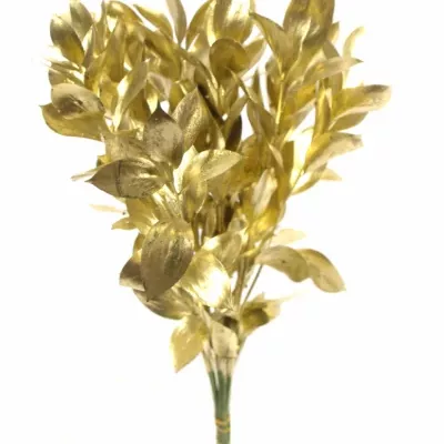 RUSKUS IZRAEL GOLD + GLITTERS