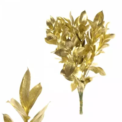 RUSKUS IZRAEL GOLD +GLITTERS 50cm