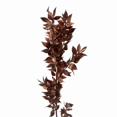 Listnatec MINI ITALY COPPER 70 cm