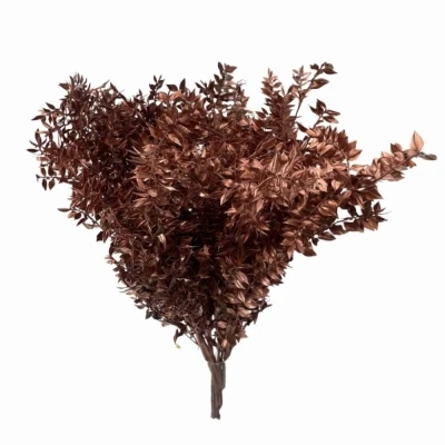 RUSKUS MINI ITALY COPPER