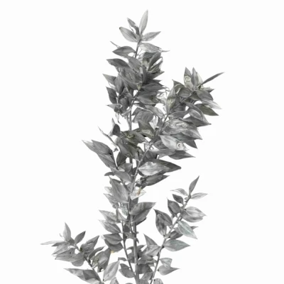 Listnatec MINI ITALY WHITE 70 cm