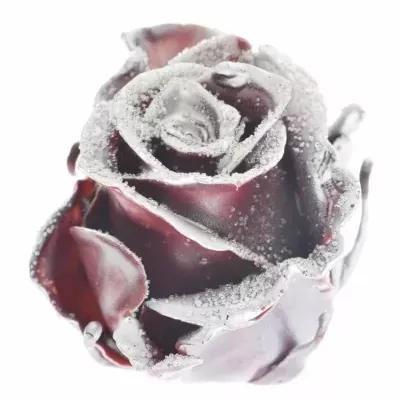 Růže  CUPCAKE CHRISTMAS 02