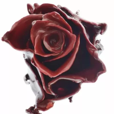 Růže CUPCAKE CHRISTMAS 03