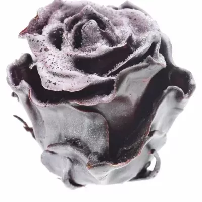 Růže CUPCAKE CHRISTMAS 09